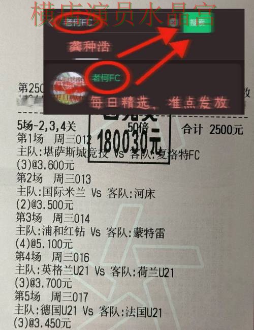 世界杯投注登录入口打不开怎么办一文看懂